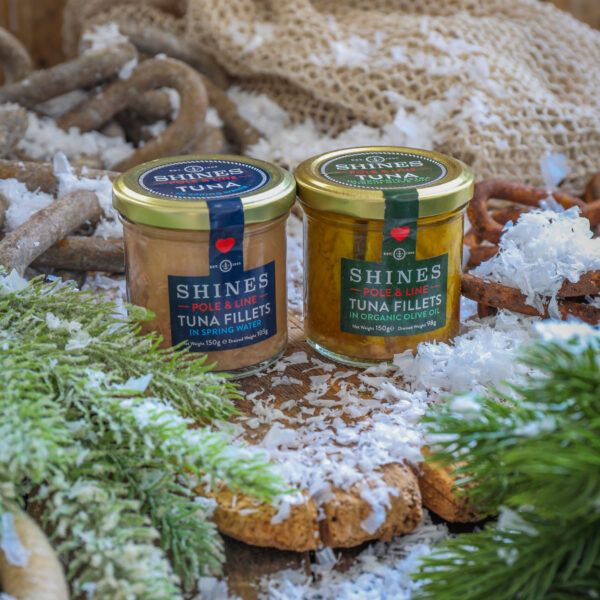 Two jars of Shines tuna fillets are displayed on a rustic wooden surface with artificial snow, greenery, and netting in the background, creating a festive, wintry scene.